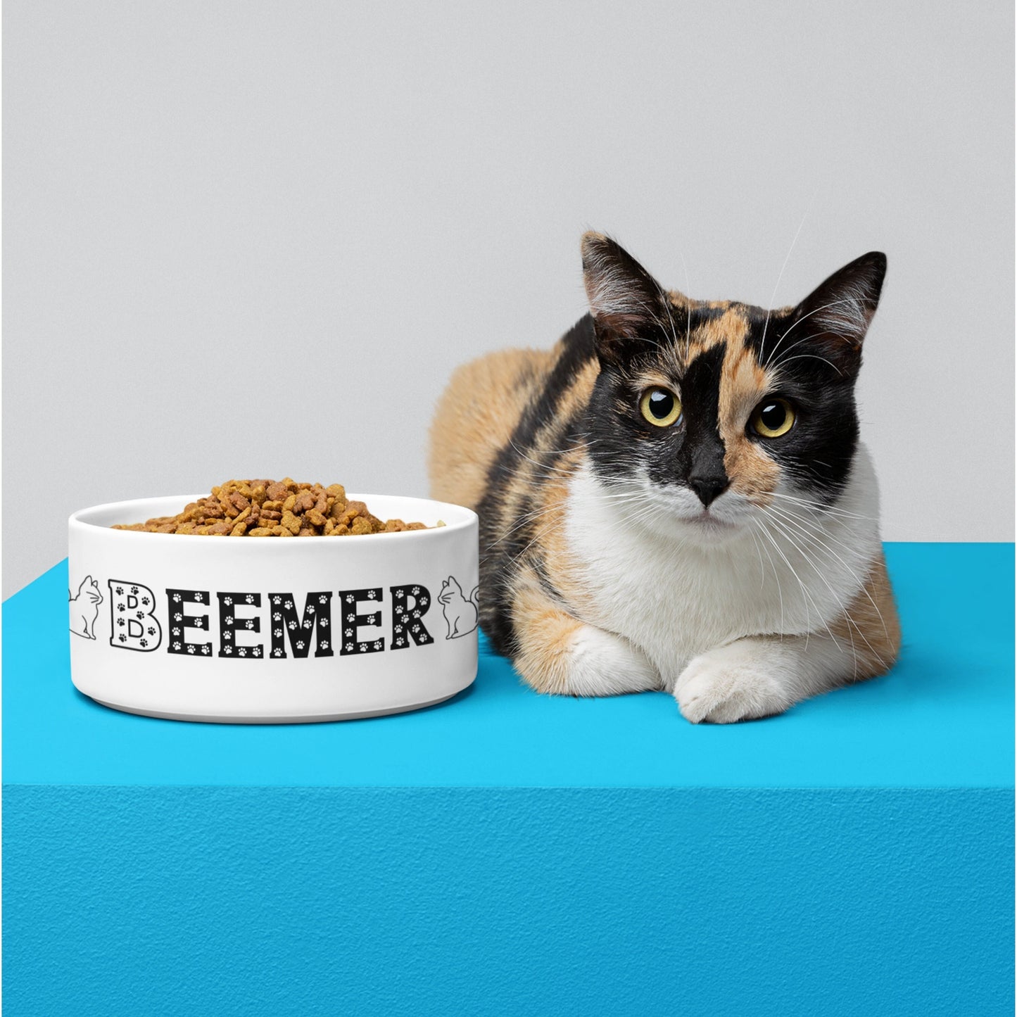 Personalized Cat Bowl Dog Pet Bowl with Name Gift for Pet Food Bowl Water Bowl Personalized Gift for Cat Mom Dad, Cat Lover, Holiday Gift