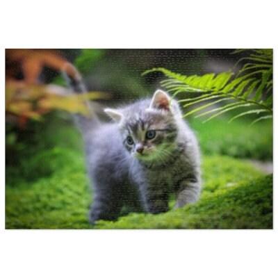Adorable Fluffy Grey Kitten Jigsaw Puzzle (30, 110, 252, 500,1000-Piece)