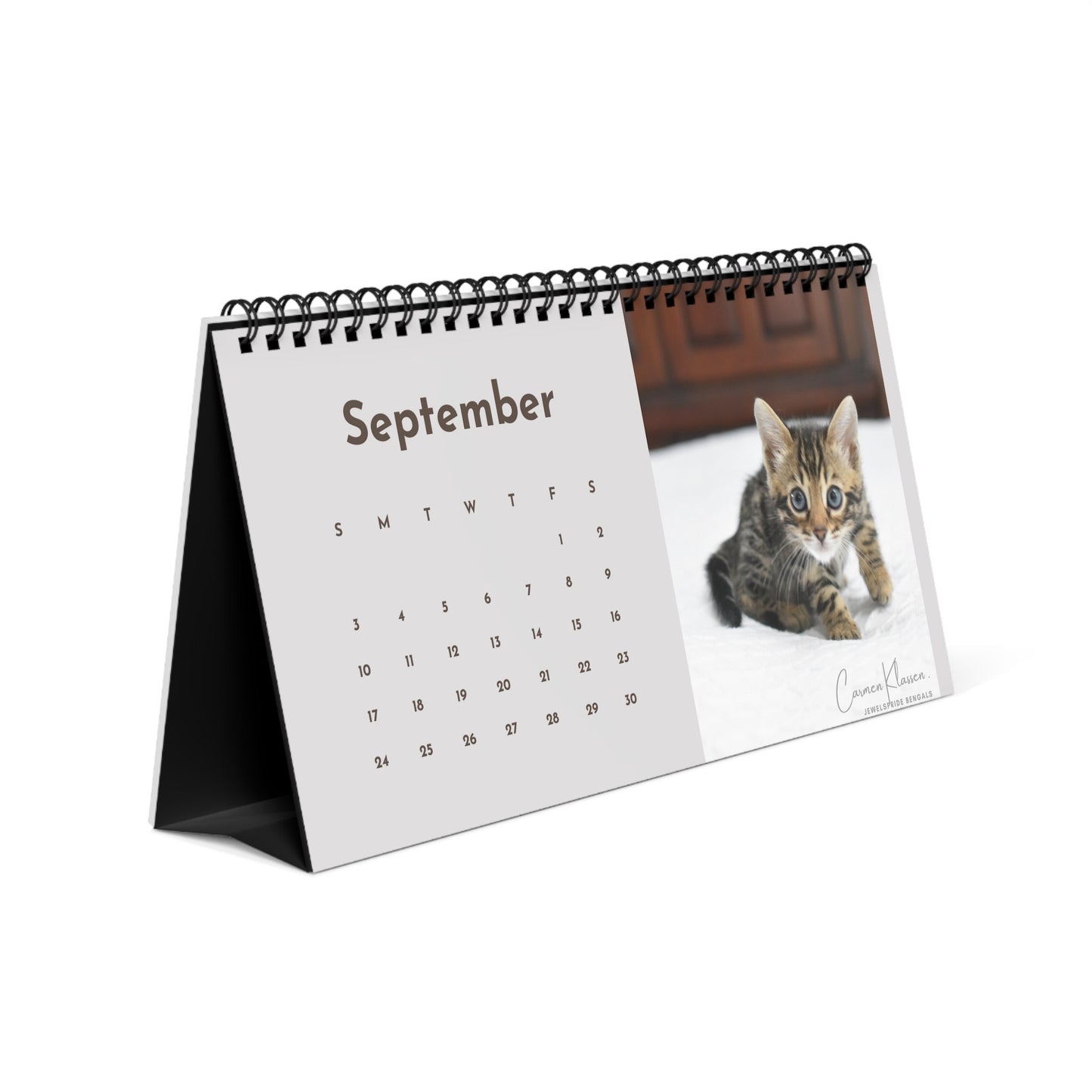 2023 Bengal Kitten Desk Calendar, Jewelspride Bengals Kitten Photos, Unique Custom Photo Calendar
