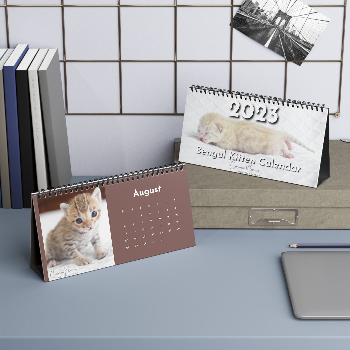 2023 Bengal Kitten Desk Calendar, Jewelspride Bengals Kitten Photos, Unique Custom Photo Calendar