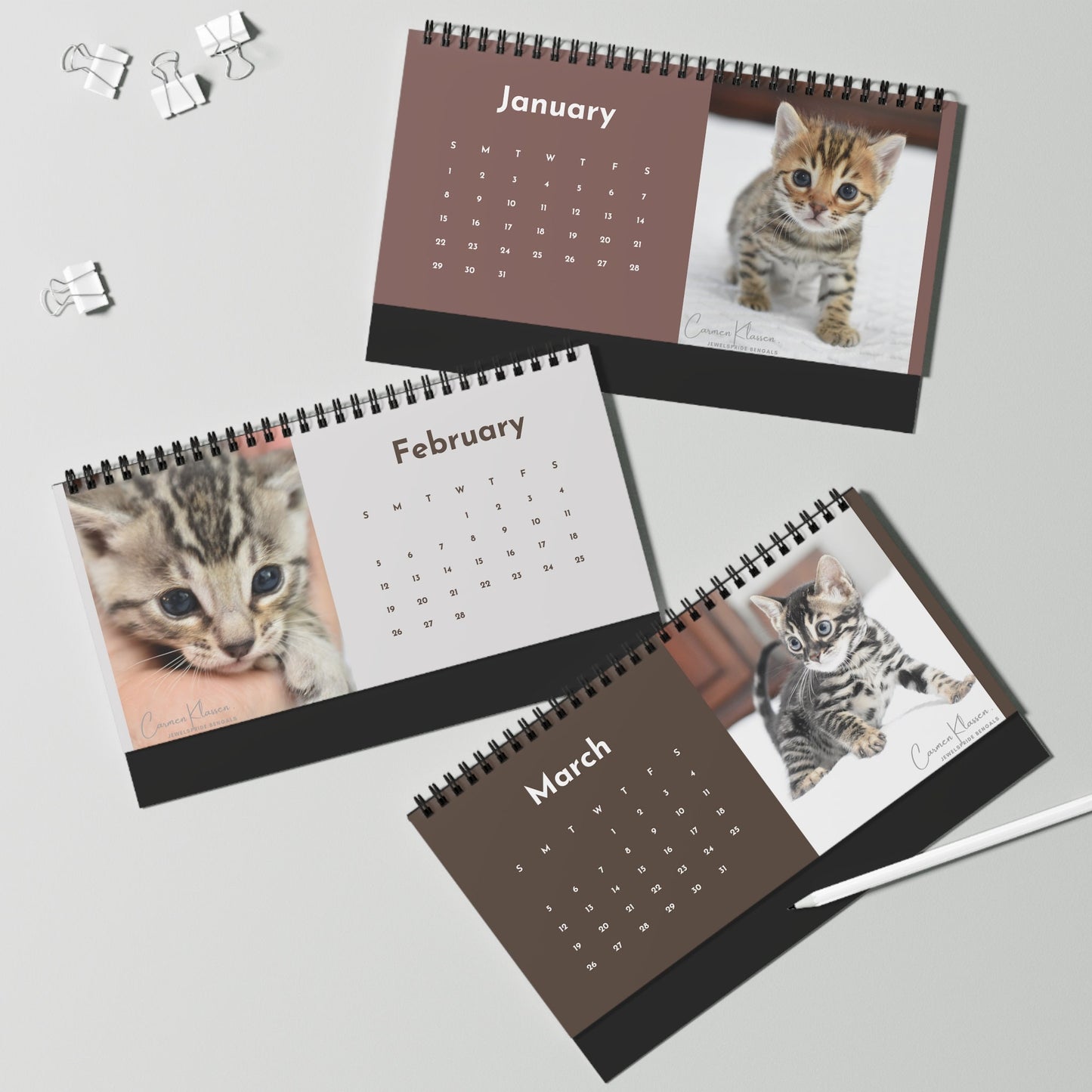 2023 Bengal Kitten Desk Calendar, Jewelspride Bengals Kitten Photos, Unique Custom Photo Calendar