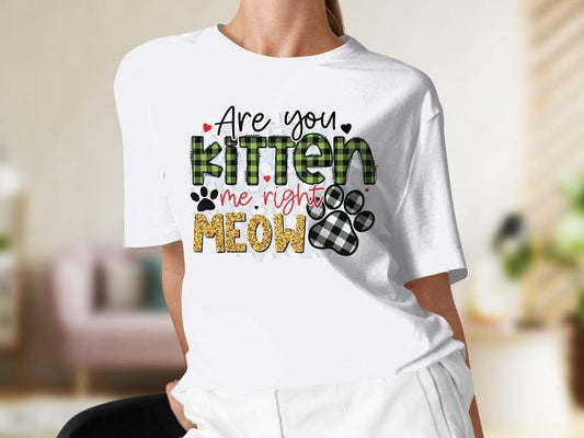 Are You Kitten Me Right Now, Cat Lover Colorful Tshirt for Women, Cat Lover Gift For Her, Gift for Cat Mama, Cat Present for Cat Owners