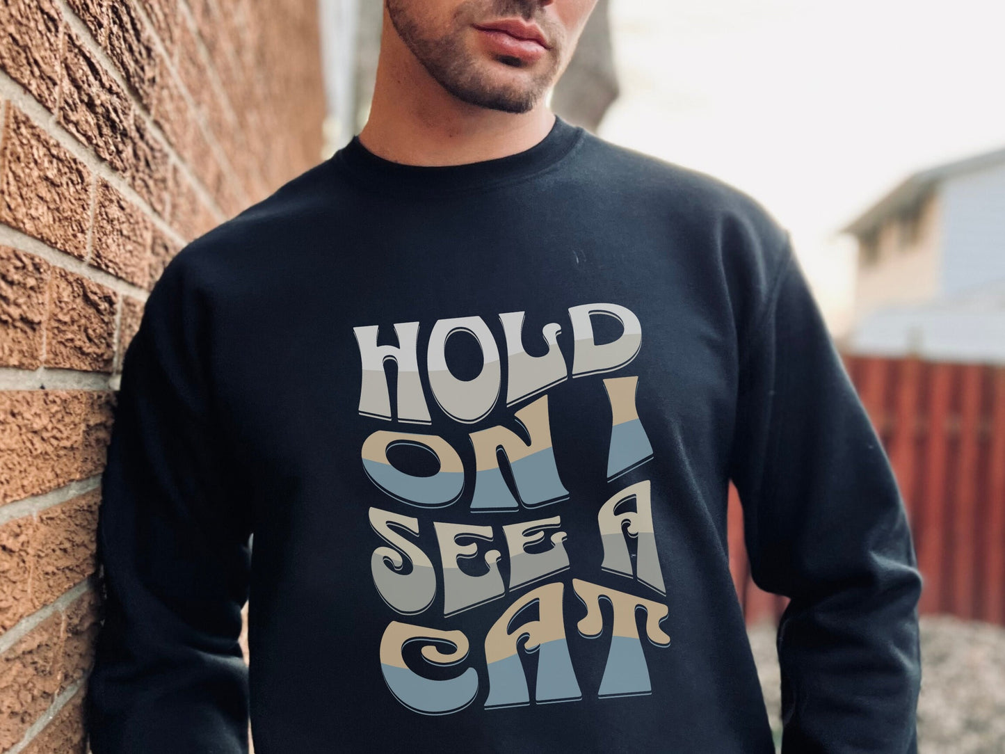 Cat Lover Sweatshirt, Hold On I See A Cat, Groovy Cat Shirt for Men, Easily Distracted By Cats, Loves Cats, Cat Lover Gifts, Cat Mom Gift