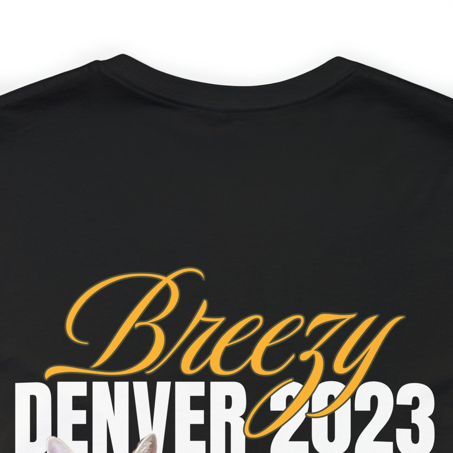 Breezy Lost in Denver - Custom Order - Ginger Thompson