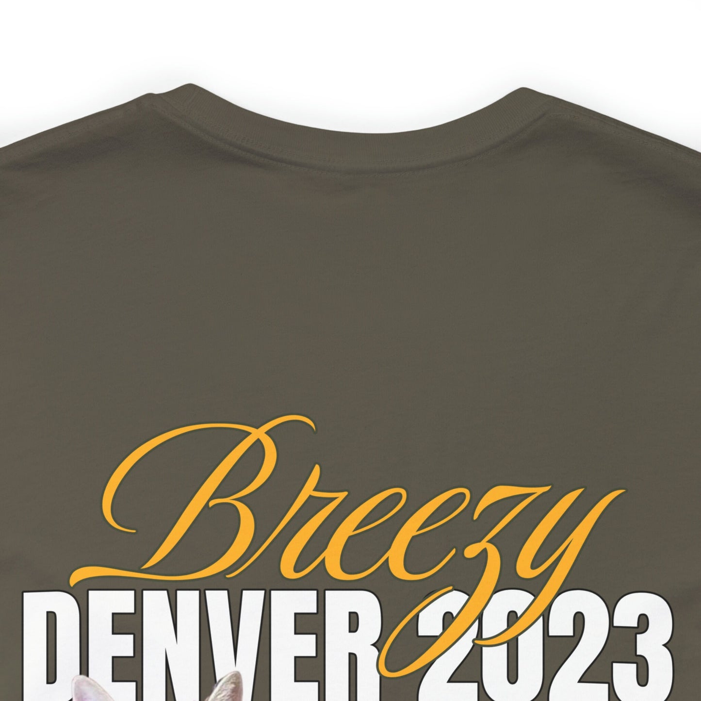 Breezy Lost in Denver - Custom Order - Ginger Thompson
