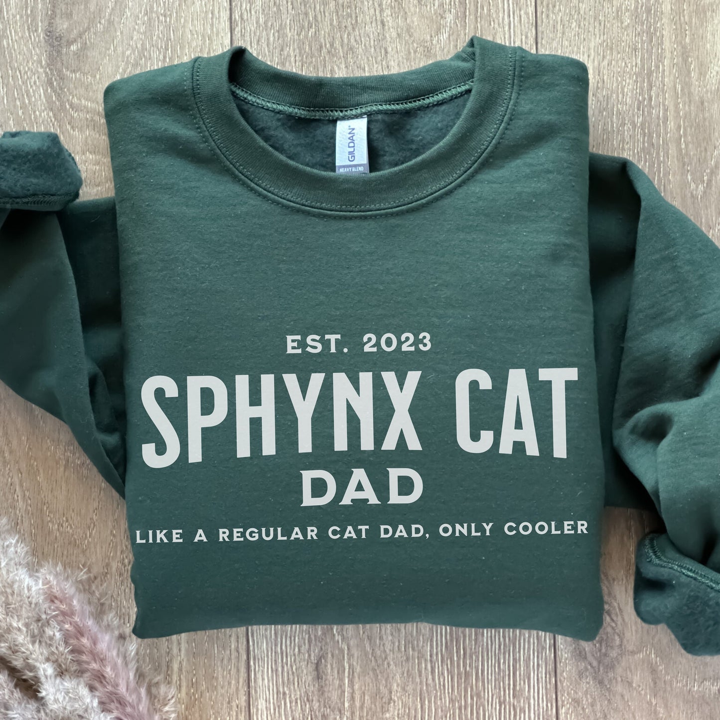 Sphynx Cat Sweater, Custom Cat Shirt, Sphynx Cat Daddy Clothes,Cat Dad Sweatshirt,Sphynx Cat Themed Gifts for Cat People,Hairless Sphynx Cat