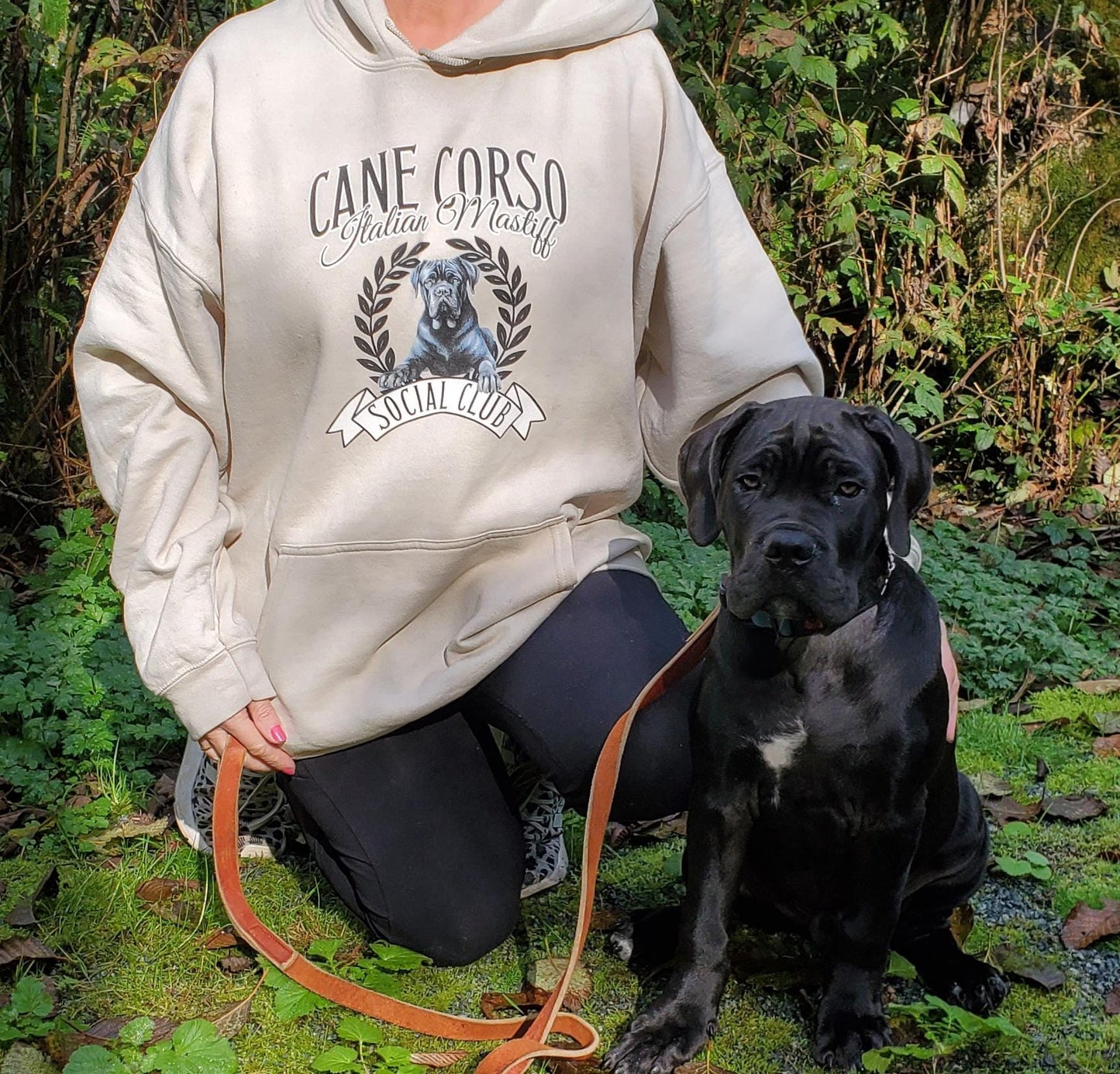 Cane Corso Lover Sweatshirt Cozy Dog Owner Hoodie Italian Mastiff Gift Corso Cuddles Sweater Personalized Big Dog Apparel Dog Mom Shirt