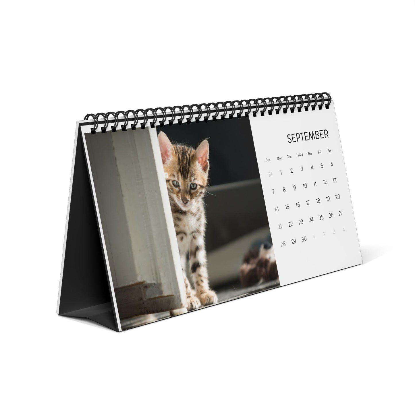 2025  Bengal Kitten Desk Calendar Cute Customizable Cat Lover Gift Adorable Bengal Cat Photography Must-Have Feline Table Decor