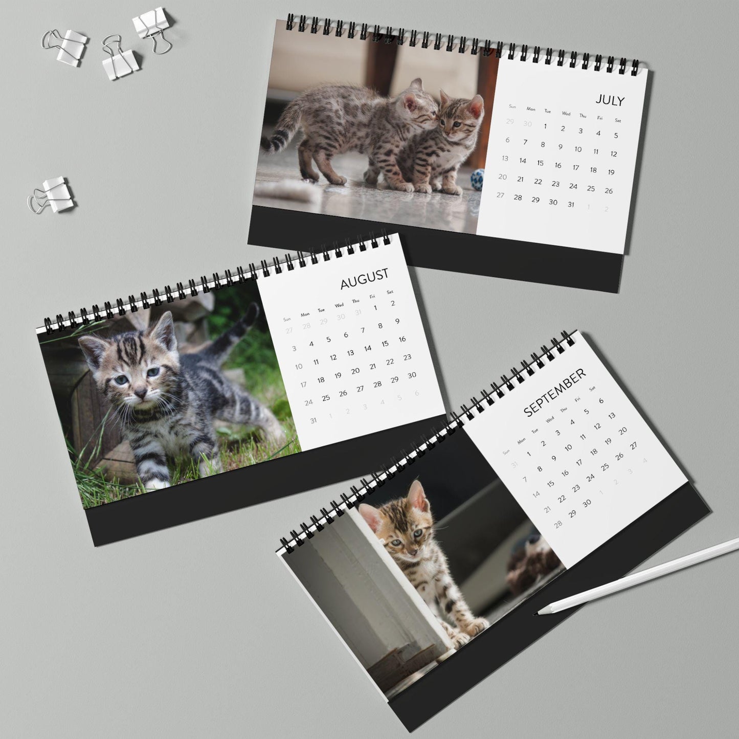 2025  Bengal Kitten Desk Calendar Cute Customizable Cat Lover Gift Adorable Bengal Cat Photography Must-Have Feline Table Decor