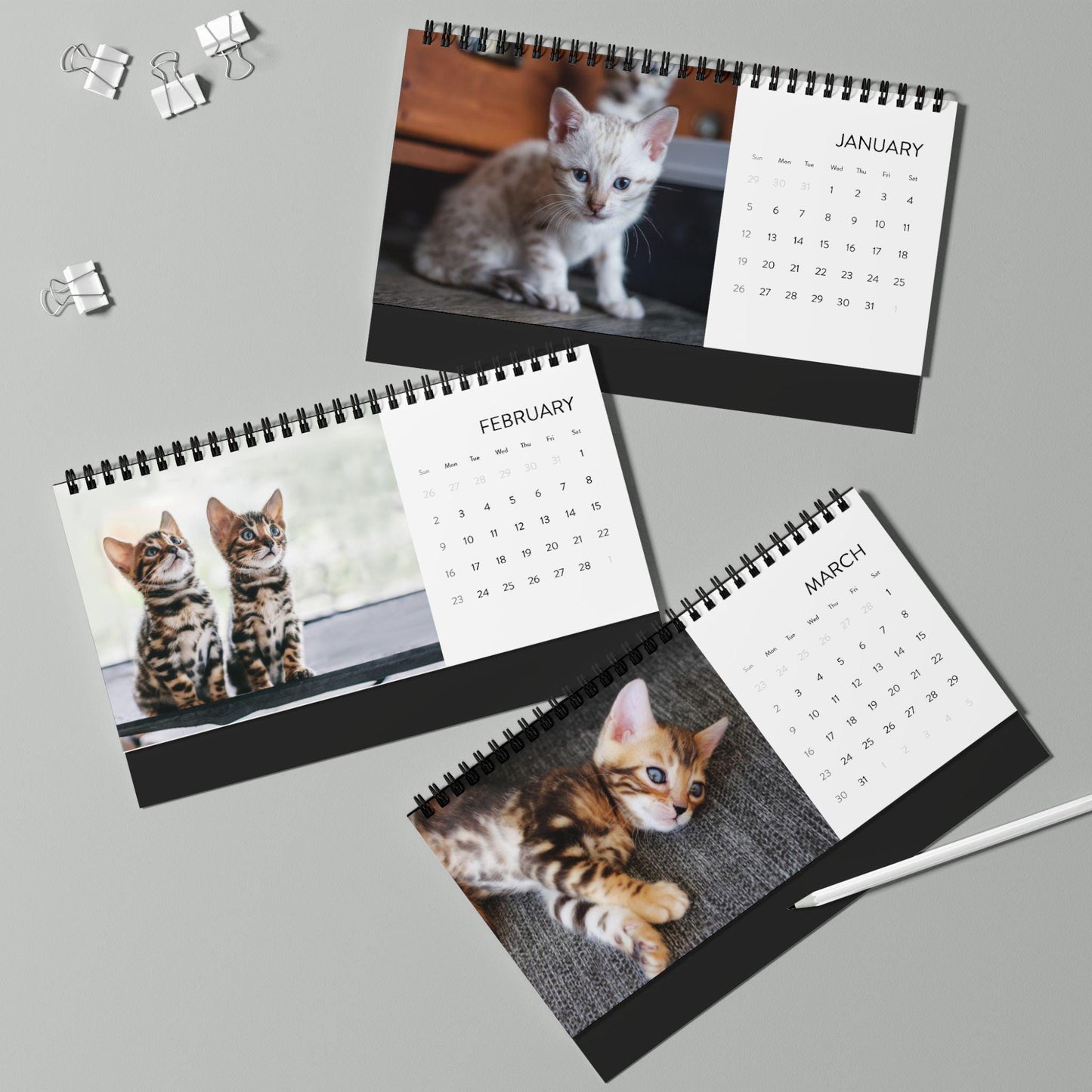 2025  Bengal Kitten Desk Calendar Cute Customizable Cat Lover Gift Adorable Bengal Cat Photography Must-Have Feline Table Decor