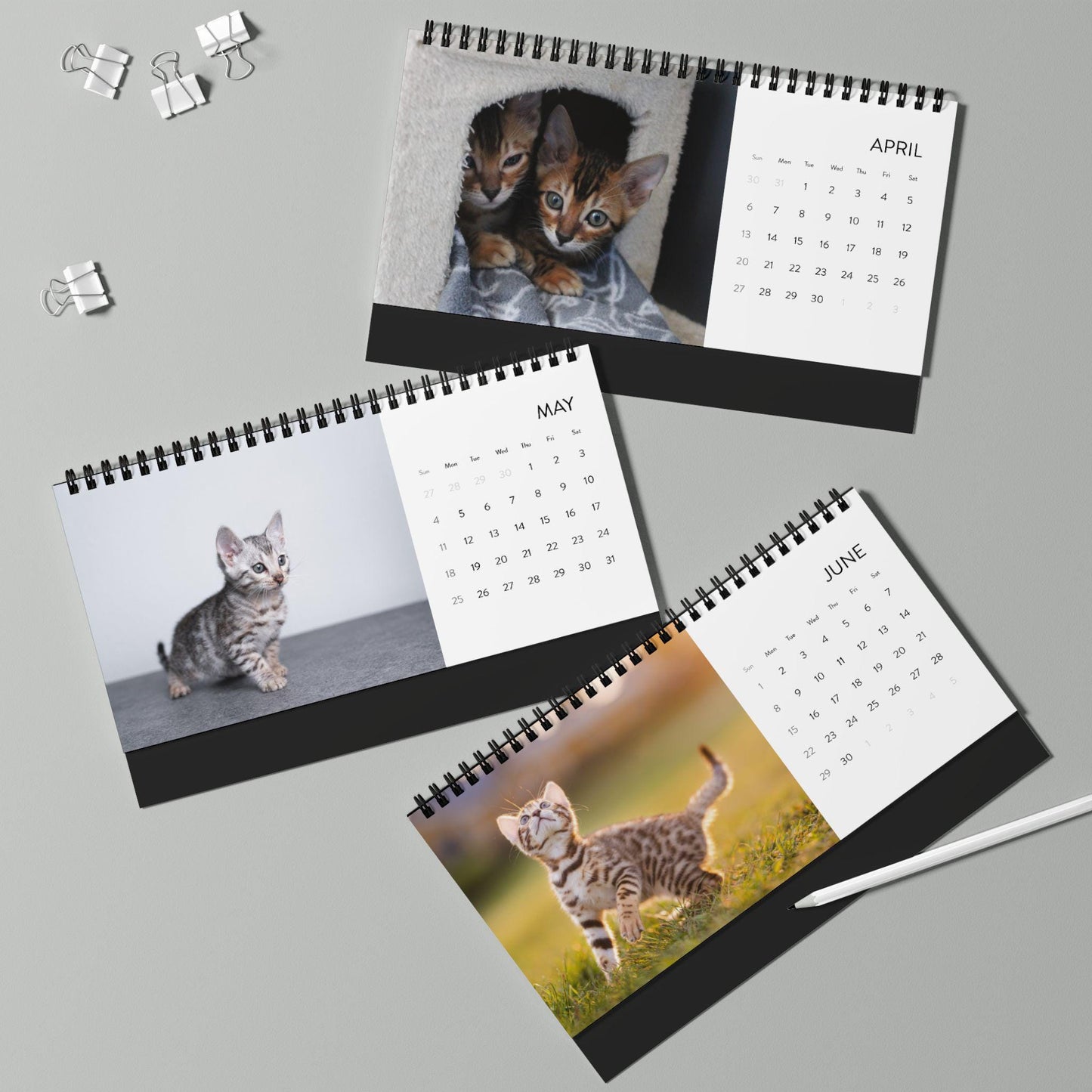 2025  Bengal Kitten Desk Calendar Cute Customizable Cat Lover Gift Adorable Bengal Cat Photography Must-Have Feline Table Decor